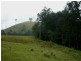 1187 Wallanbah Road, Bucca Wauka NSW 2429