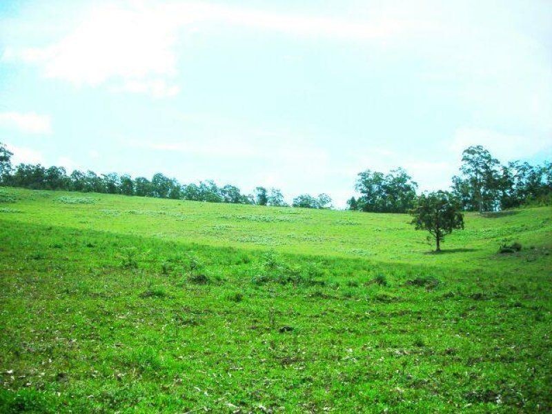 12298 Pacific Highway, Coolongolook NSW 2423