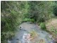 Dollys Flat NSW 2429