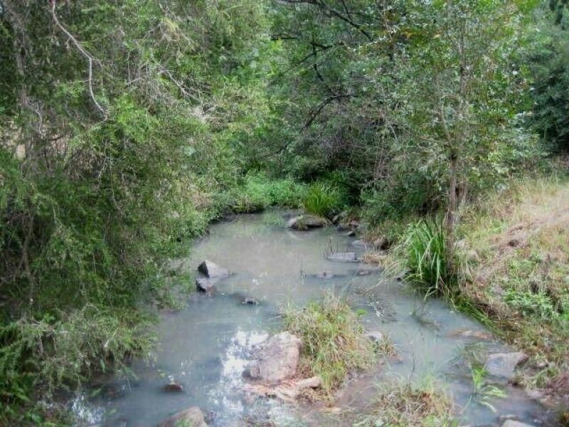 Dollys Flat NSW 2429