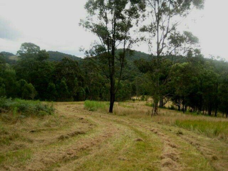 Dollys Flat NSW 2429