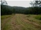 Dollys Flat NSW 2429