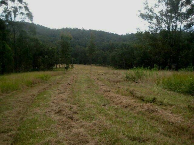 Dollys Flat NSW 2429