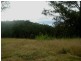 Dollys Flat NSW 2429