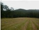 Dollys Flat NSW 2429
