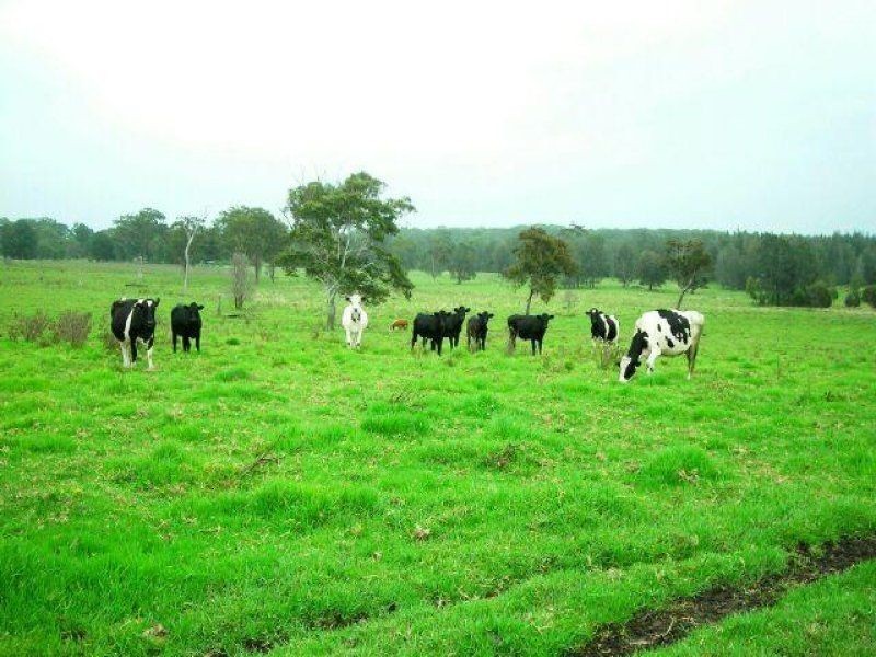 Kundle Kundle NSW 2430