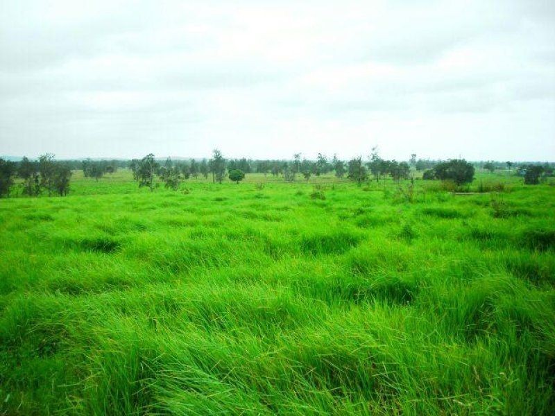 Kundle Kundle NSW 2430