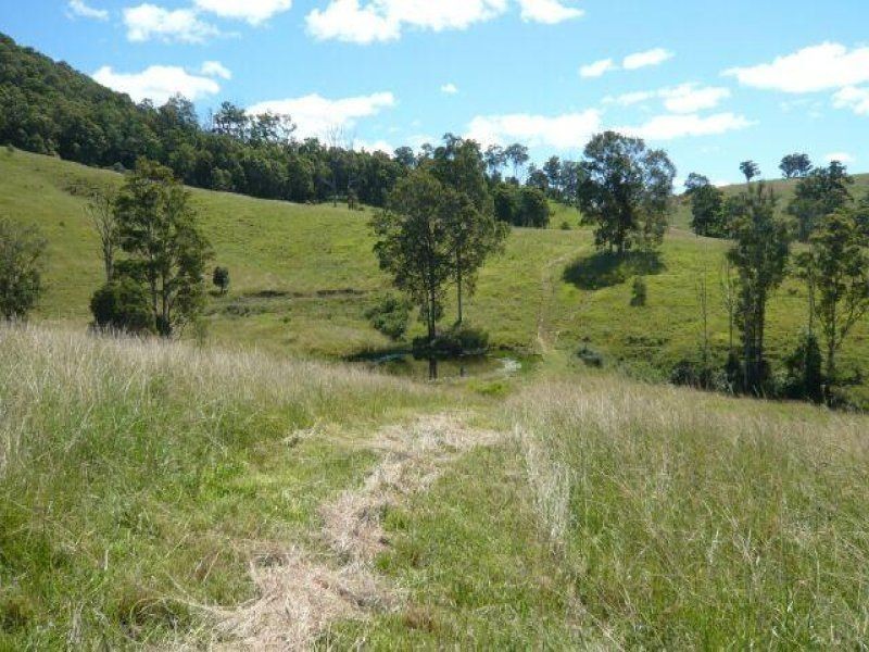 613 Comboyne Road, Wingham NSW 2429