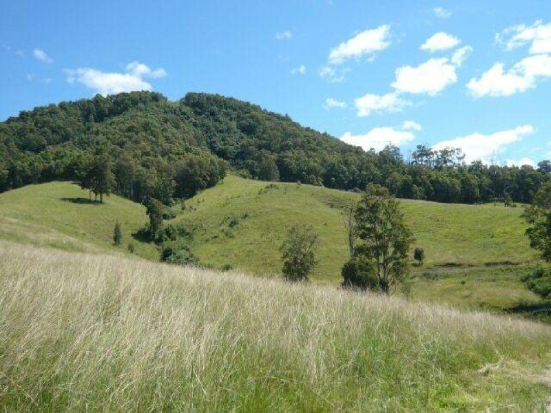 613 Comboyne Road, Wingham NSW 2429