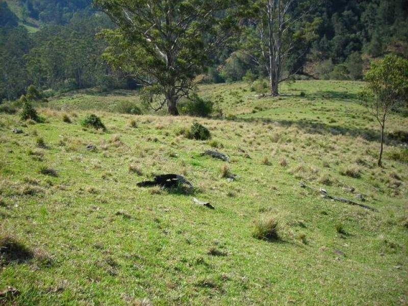 Mooral Creek NSW 2429