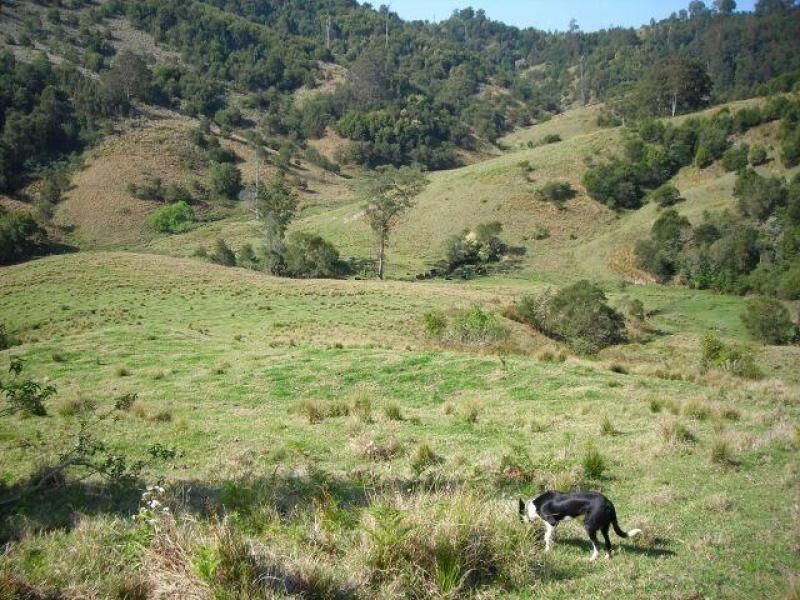 Mooral Creek NSW 2429