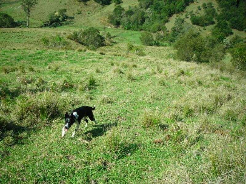 Mooral Creek NSW 2429