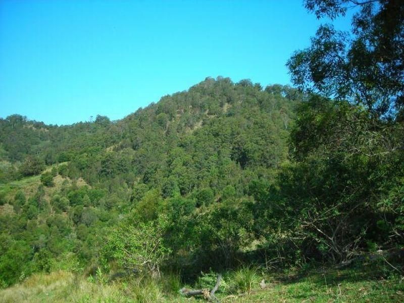 Mooral Creek NSW 2429