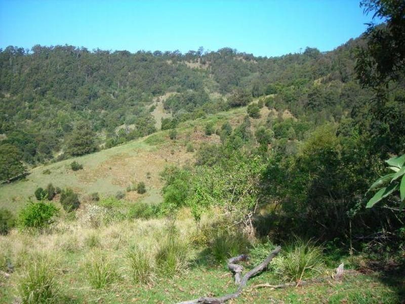 Mooral Creek NSW 2429