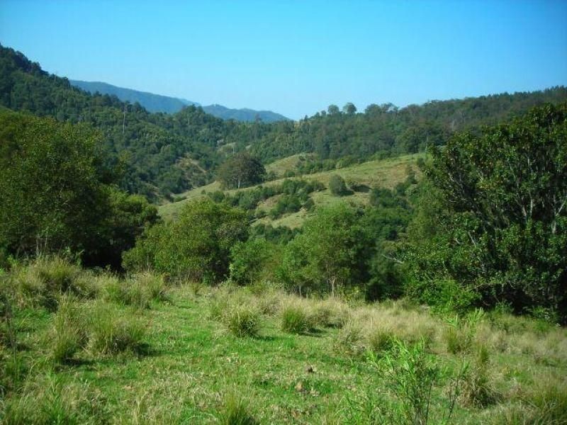 Mooral Creek NSW 2429