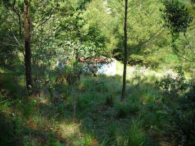 Mooral Creek NSW 2429