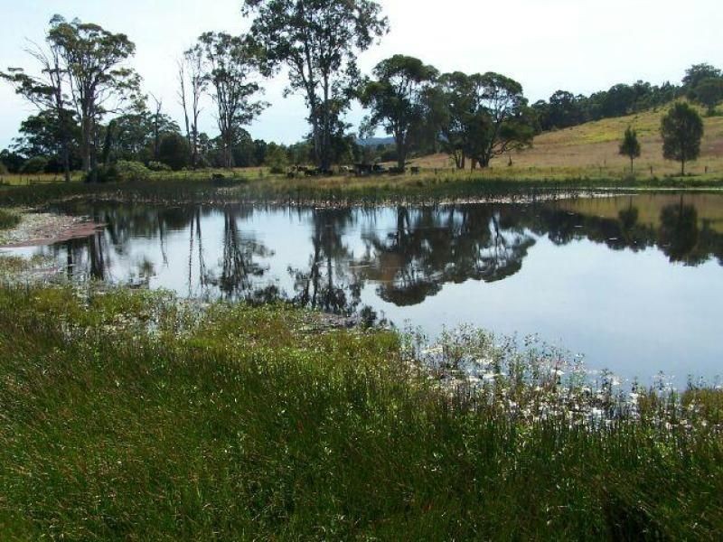 Nabiac NSW 2312