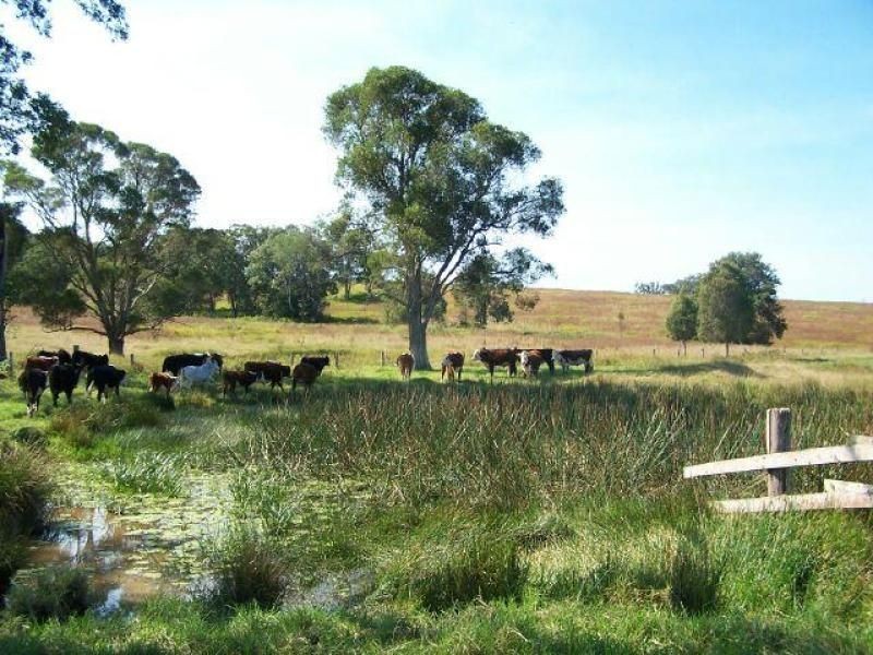Nabiac NSW 2312