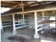 Nabiac NSW 2312