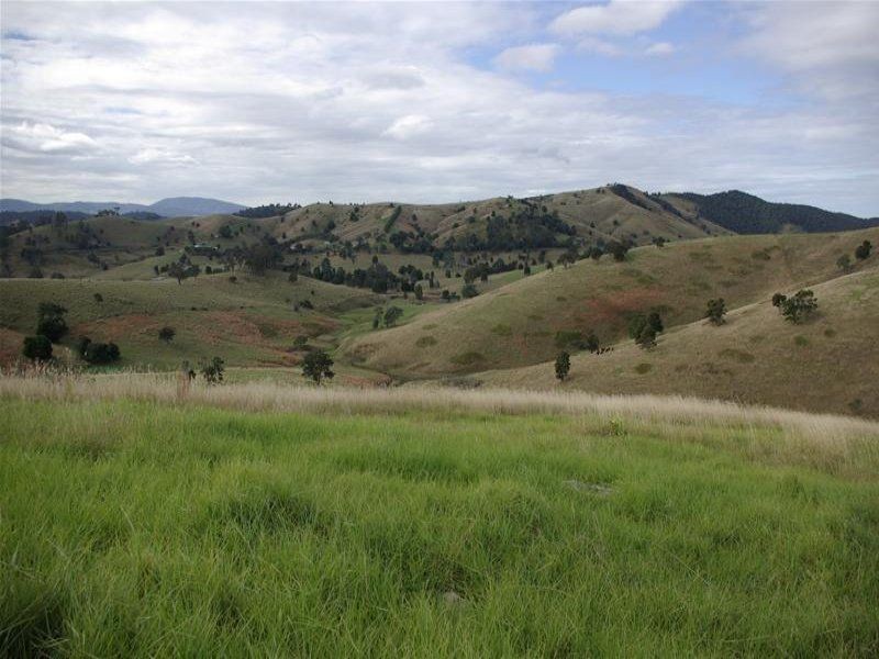 Bunyah NSW 2429