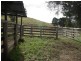 Bunyah NSW 2429