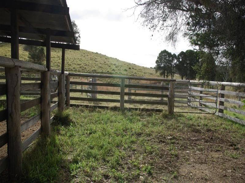Bunyah NSW 2429