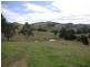 Bunyah NSW 2429