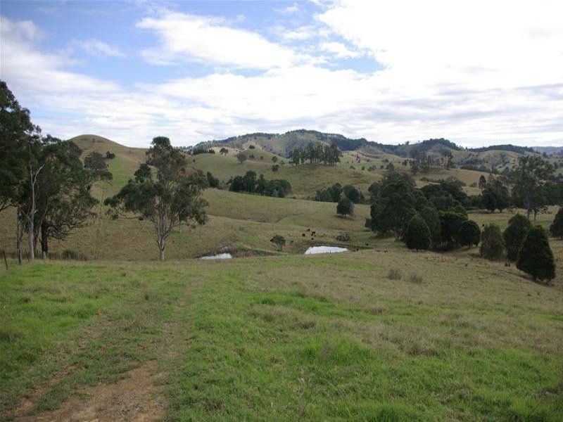 Bunyah NSW 2429