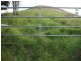 Bunyah NSW 2429
