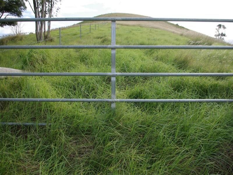 Bunyah NSW 2429