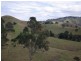 Bunyah NSW 2429
