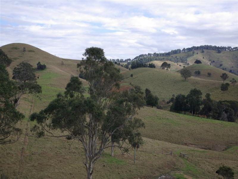 Bunyah NSW 2429