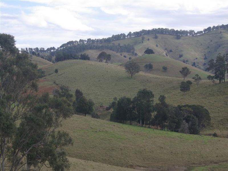 Bunyah NSW 2429
