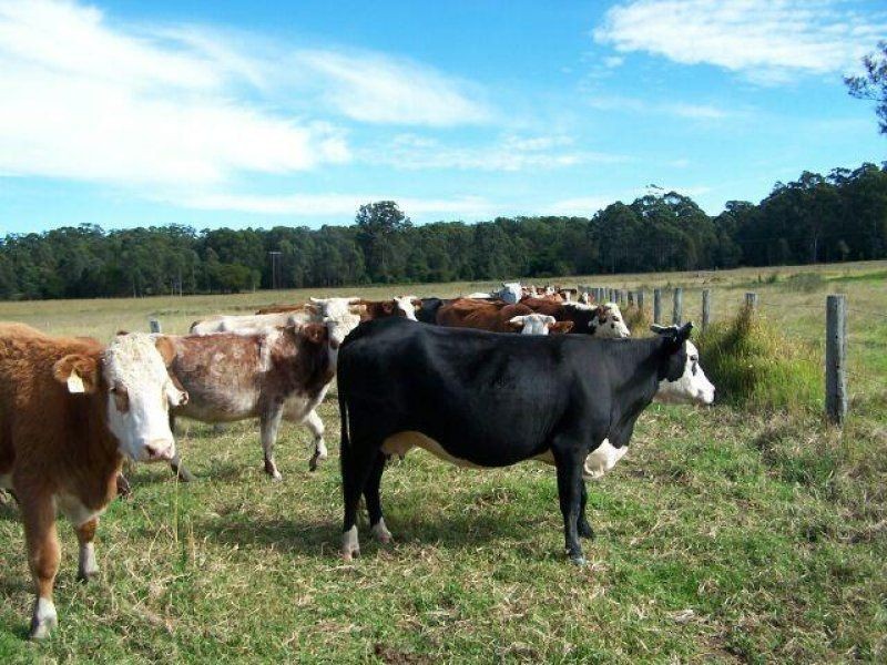 Lot 61 Woosters Lane, Nabiac NSW 2312