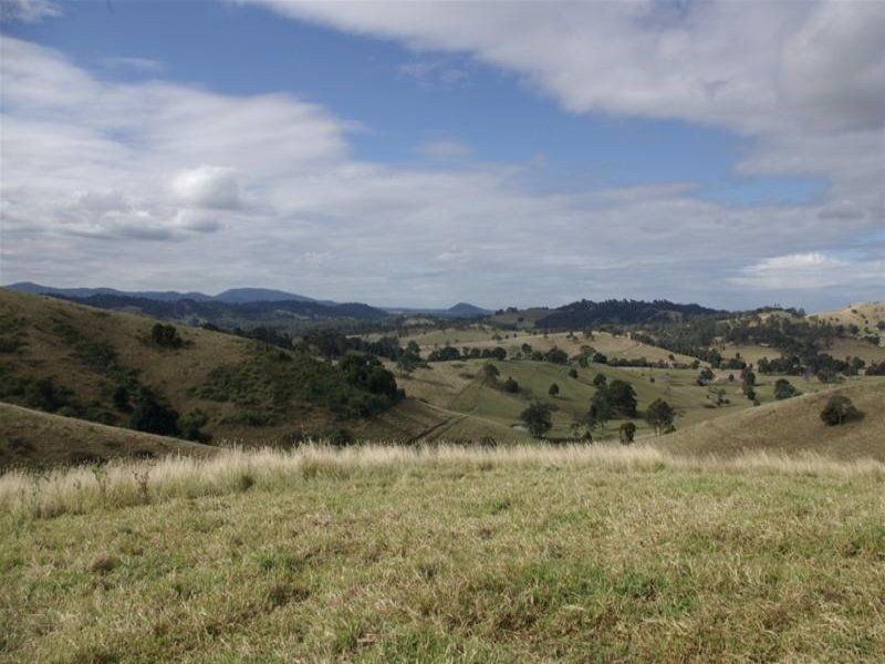 Firefly NSW 2429