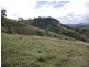 Firefly NSW 2429