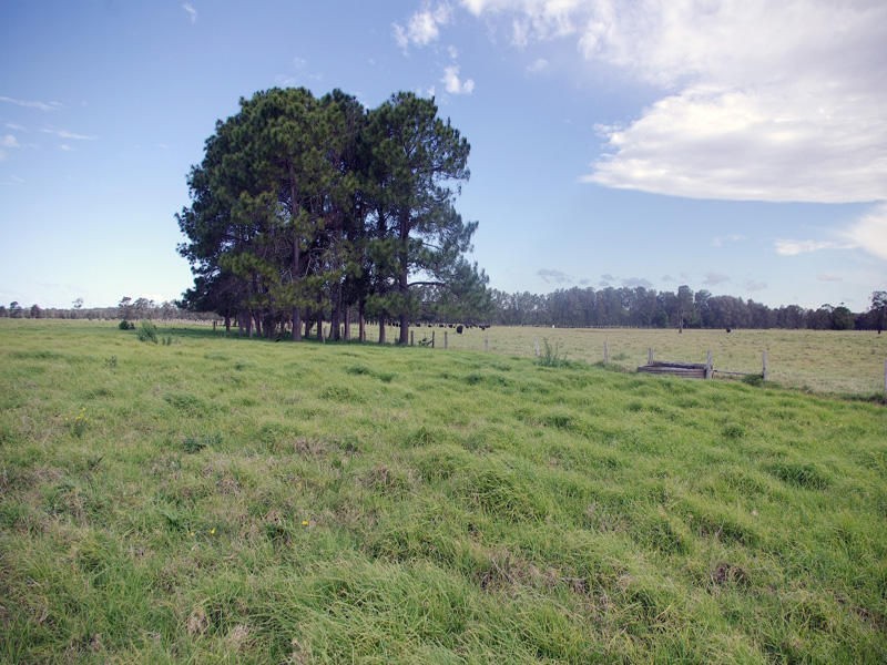 814 Manning Point Road, Oxley Island NSW 2430