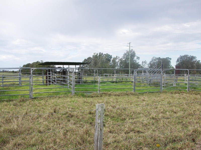 814 Manning Point Road, Oxley Island NSW 2430