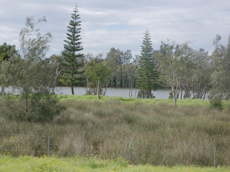 814 Manning Point Road, Oxley Island NSW 2430