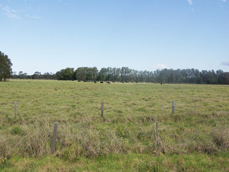 814 Manning Point Road, Oxley Island NSW 2430