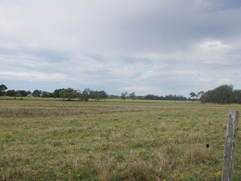 814 Manning Point Road, Oxley Island NSW 2430