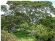 180 Harrington Road, Coopernook NSW 2426