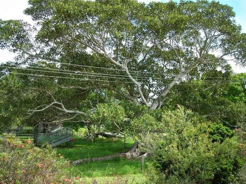 180 Harrington Road, Coopernook NSW 2426