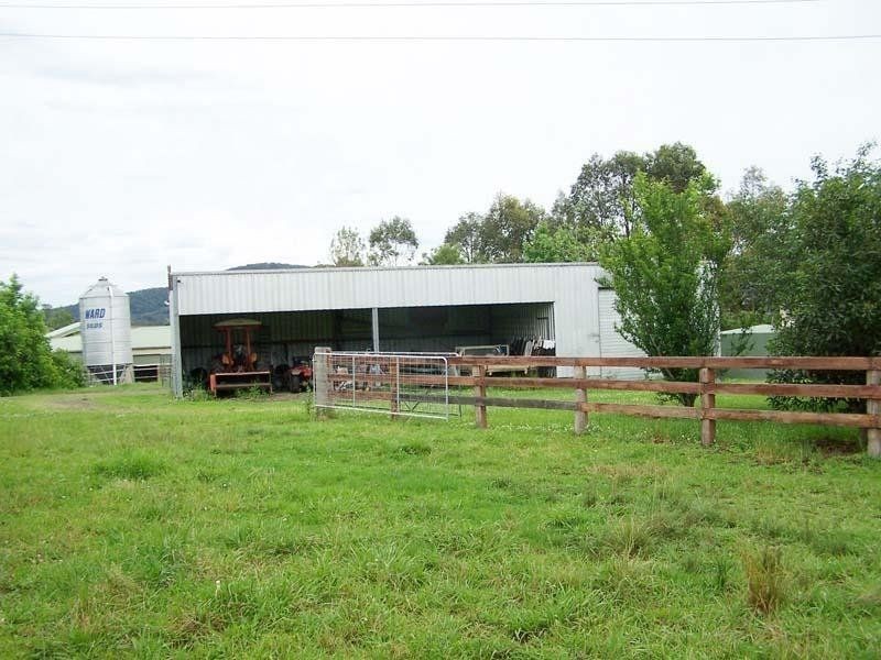 Cedar Party NSW 2429