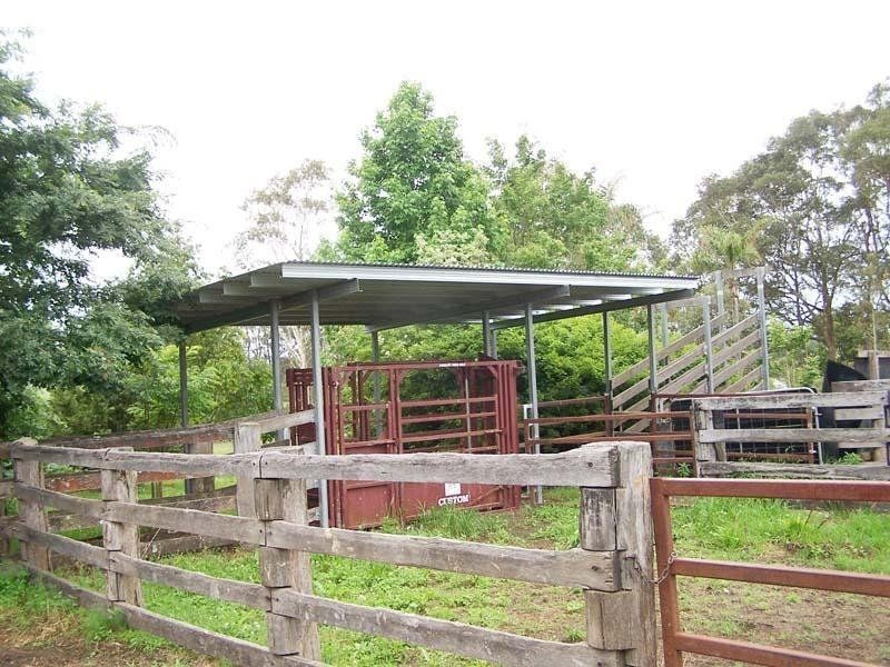 Cedar Party NSW 2429