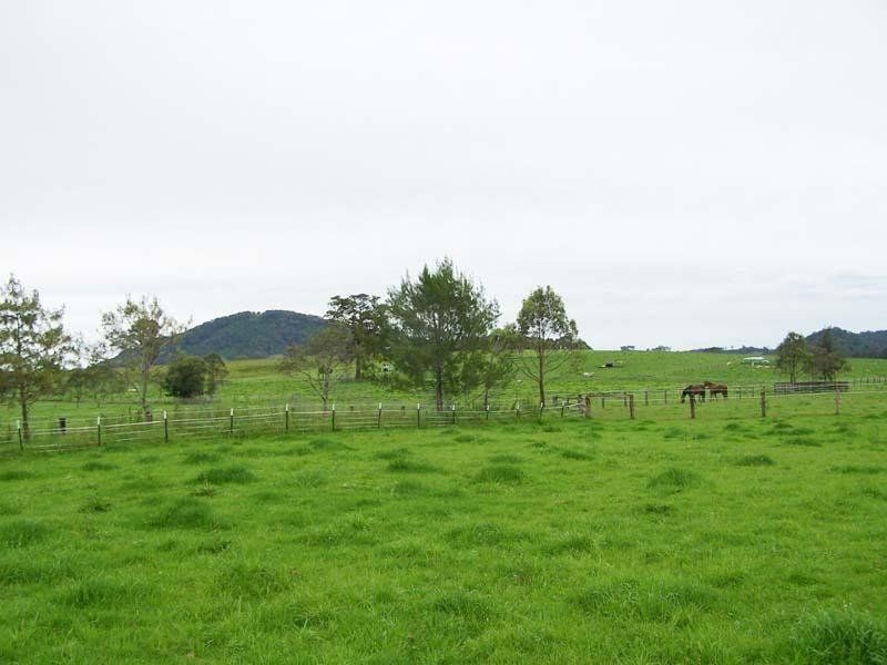 Cedar Party NSW 2429