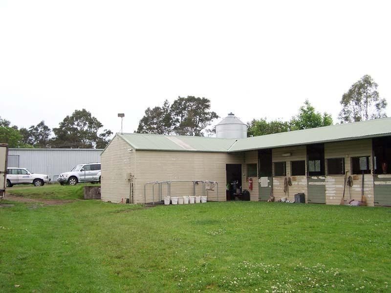 Cedar Party NSW 2429