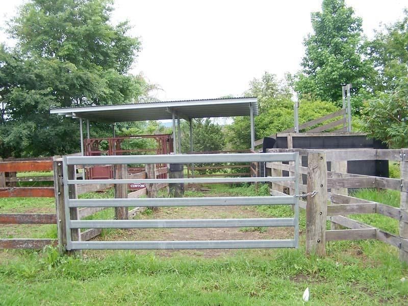 Cedar Party NSW 2429