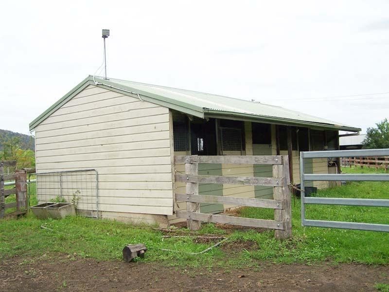 Cedar Party NSW 2429