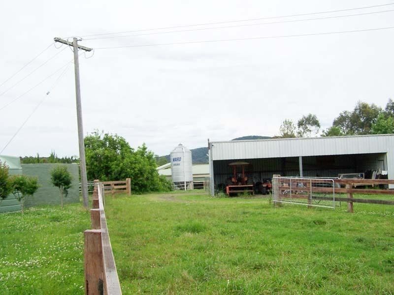 Cedar Party NSW 2429